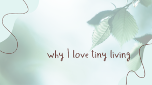 Read more about the article Why I Love Tiny Living